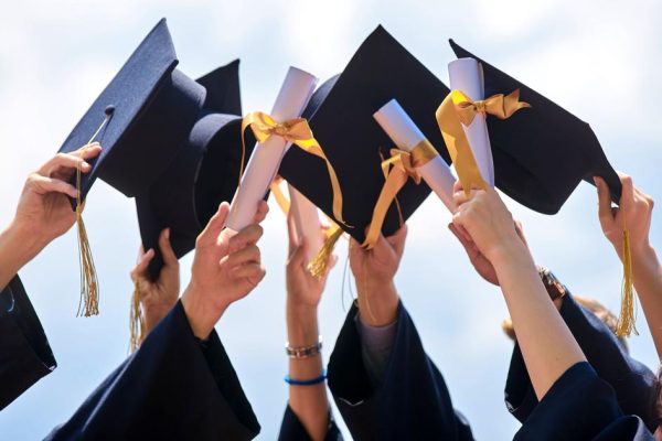 Education & Universities